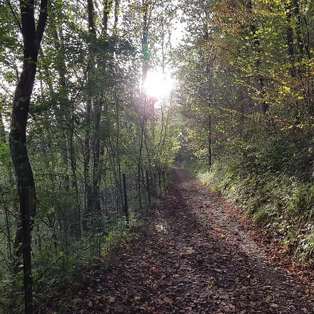 O'noire, Viroinval بيت للعطل