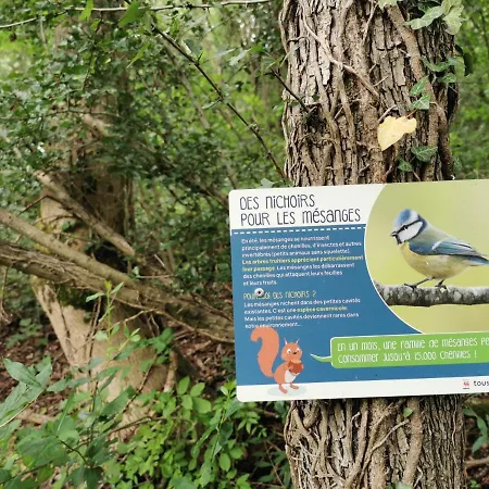 O'noire, Viroinval بيت للعطل Treignes