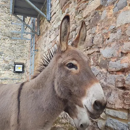 Holiday home O'noire, Viroinval Treignes