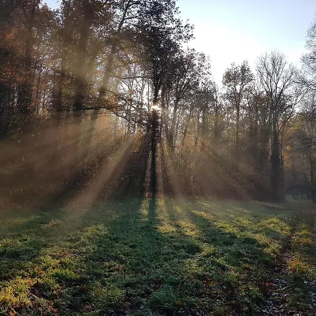 O'noire, Viroinval بيت للعطل