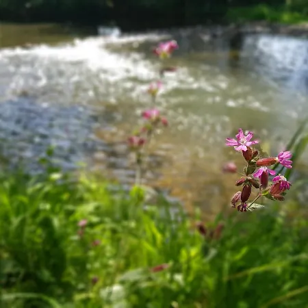 O'noire, Viroinval *