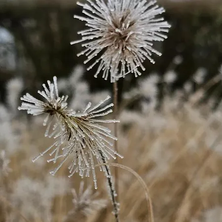 O'noire, Viroinval *