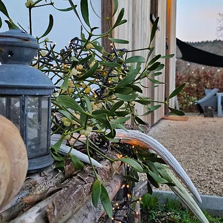 O'noire, Viroinval Treignes