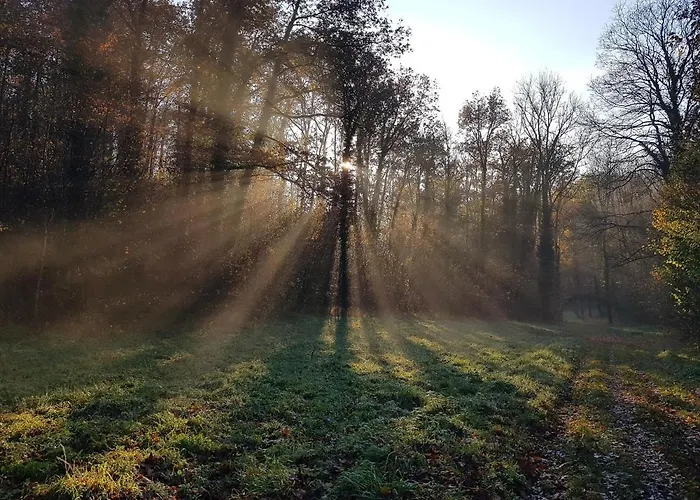 O'noire, Viroinval Holiday home