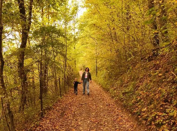 O'noire, Viroinval Holiday home Treignes