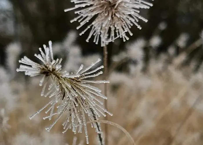 O'noire, Viroinval *